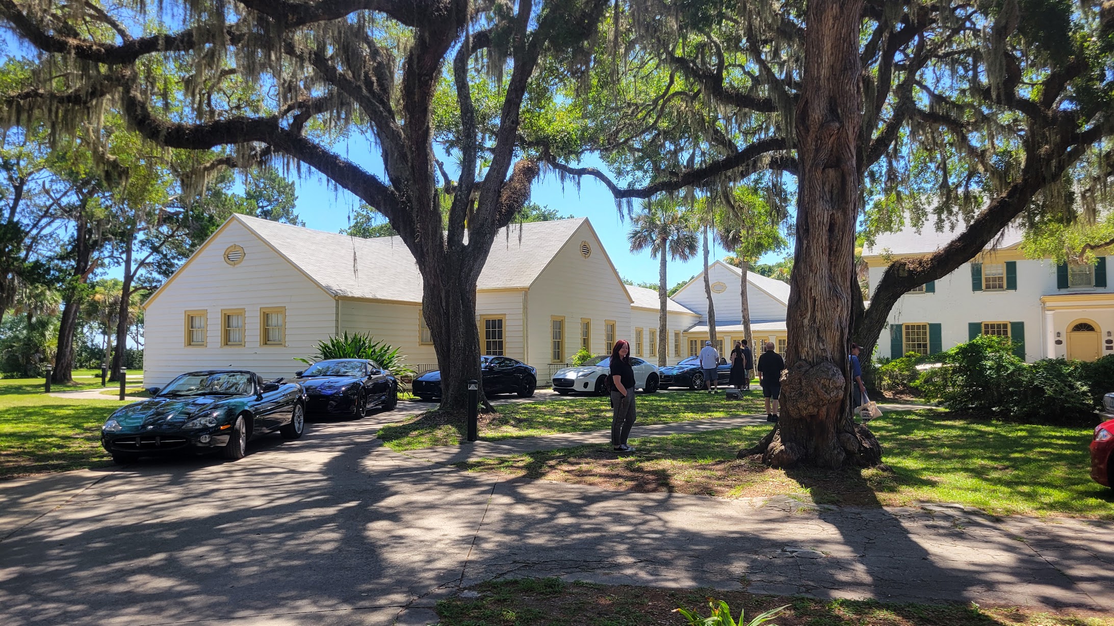 Jaguars in front of the Ribault Club