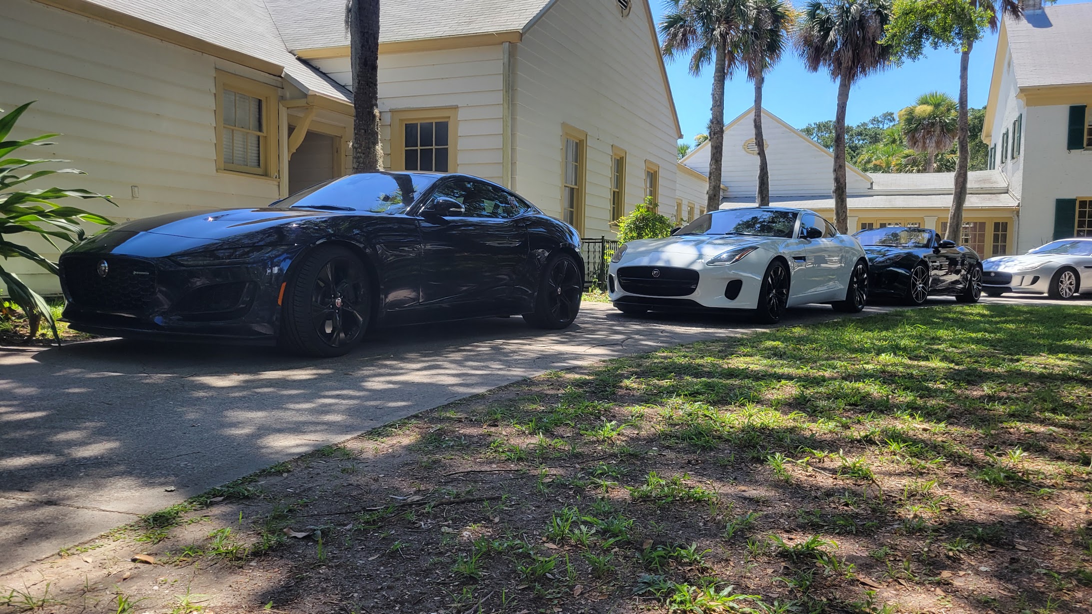 F-Types