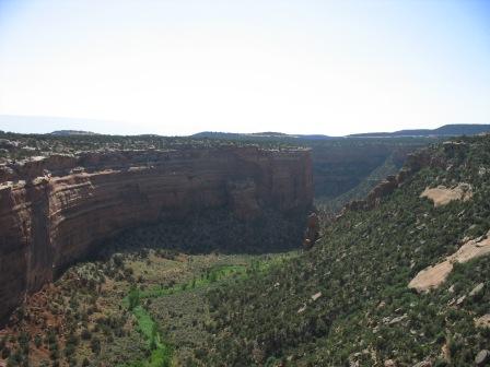 Western States 2008